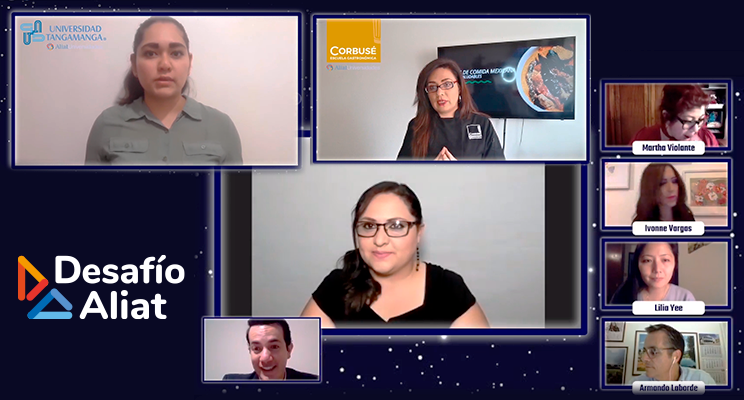 Ganadores desafío 2020, Ideas emprendedoras