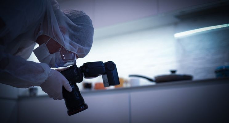 4 especialidades que puedes estudiar