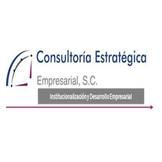 CONSULTORIA ESTRATEGICA Y ESPECIALIDAD JE
